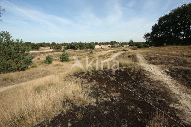 Nationaal Park Loonse en Drunense Duinen