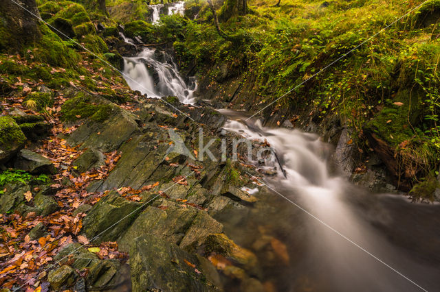 Tom Gill Waterval