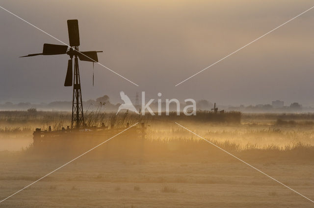 Wormer- en Jisperveld