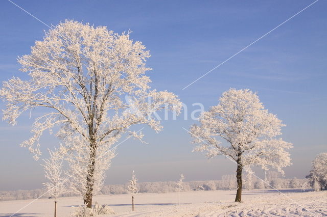 Gelderland