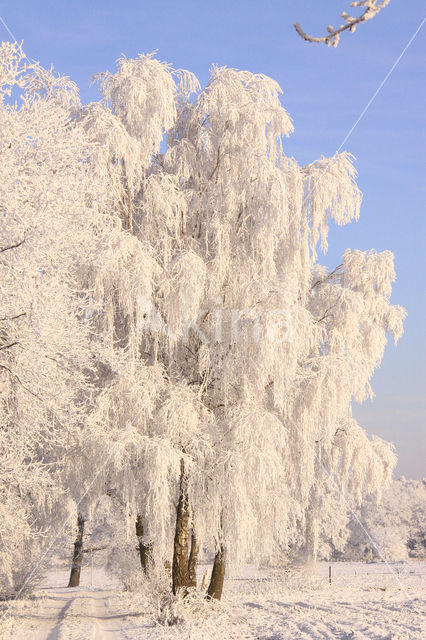 Gelderland