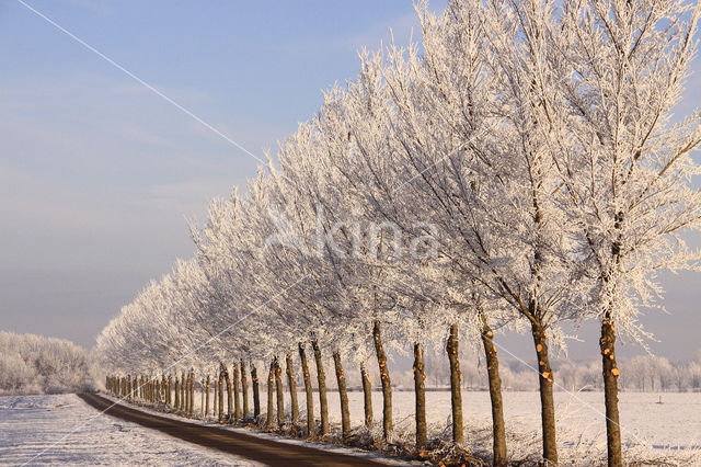 Gelderland