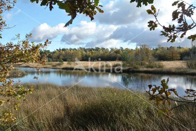 Kootwijkerveen