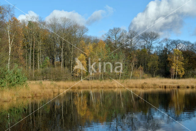 Kootwijkerveen