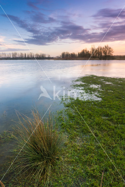 Nationaal Park de Biesbosch