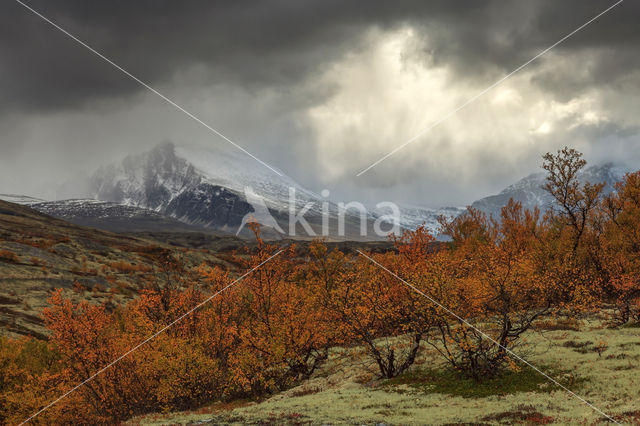 Rondane National Park