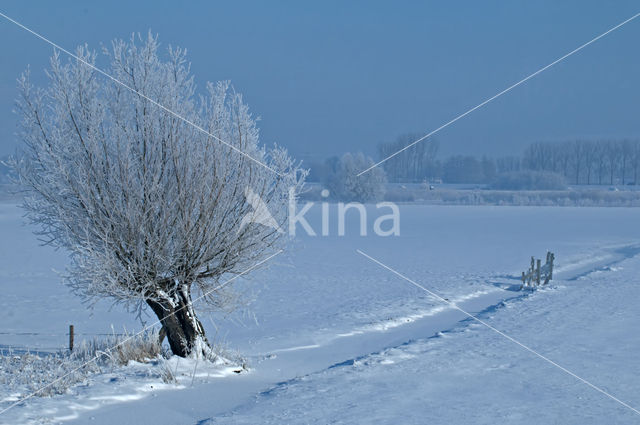 landschap