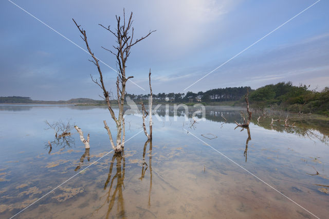 Nationaal Park Zuid-Kennemerland