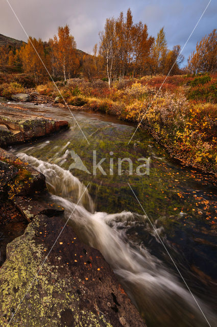 Rondane