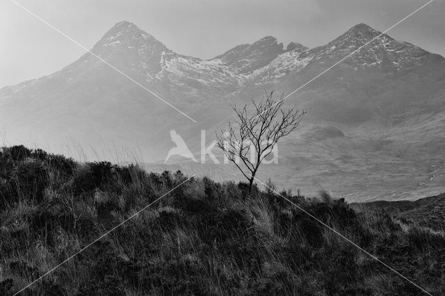 Cuillin Hills