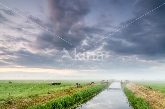 Nationaal Park Weerribben-Wieden