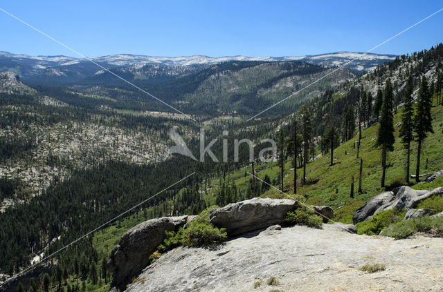 Yosemite National park