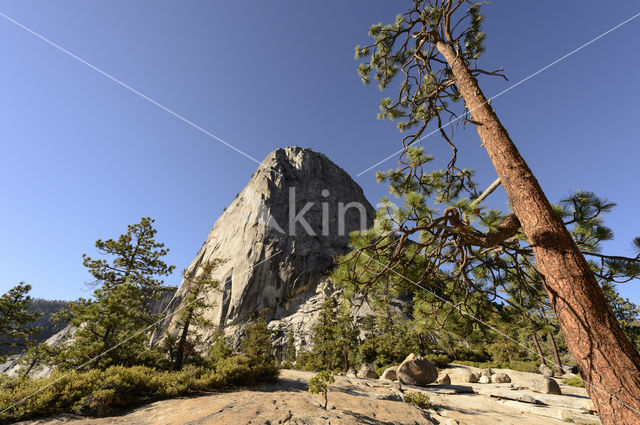 Yosemite National park