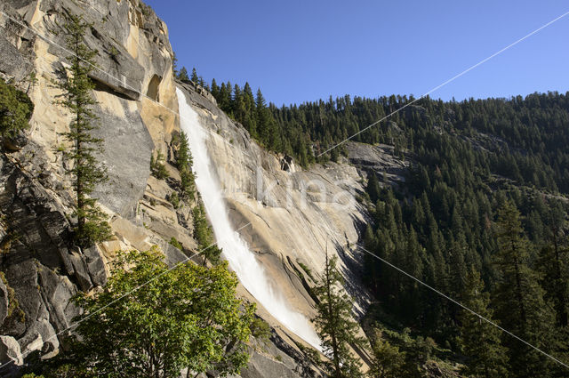 Yosemite National Park