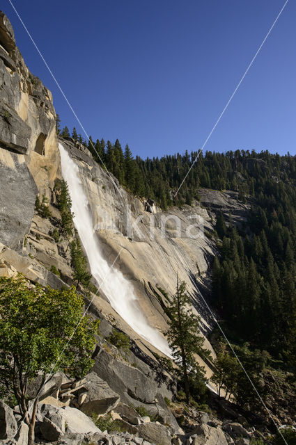 Yosemite National Park