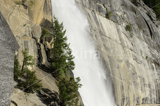 Yosemite National Park