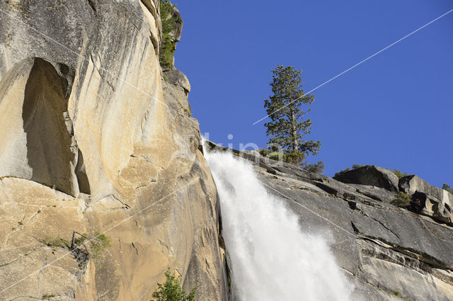 Yosemite National Park