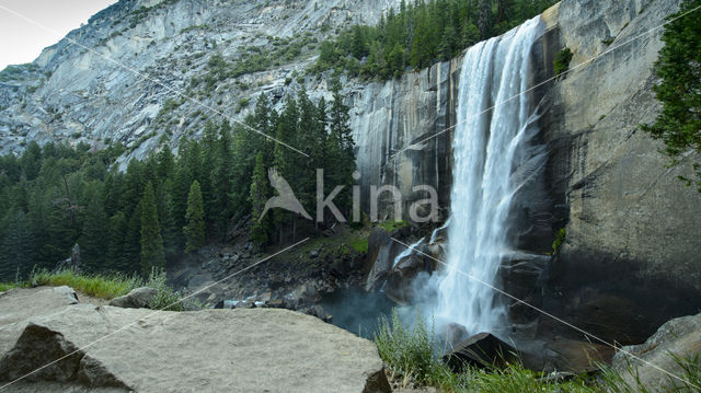 Yosemite National park