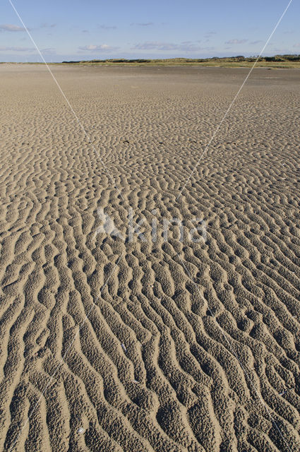 Duinen van Goeree