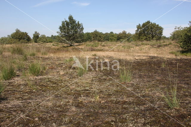 Nationaal Park Loonse en Drunense Duinen