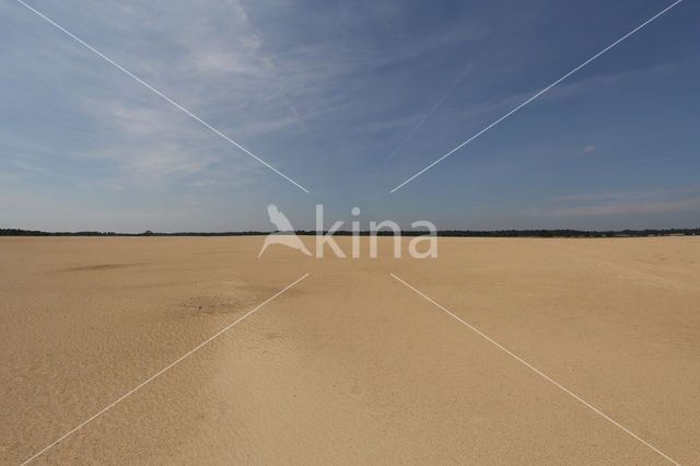 Nationaal Park Loonse en Drunense Duinen