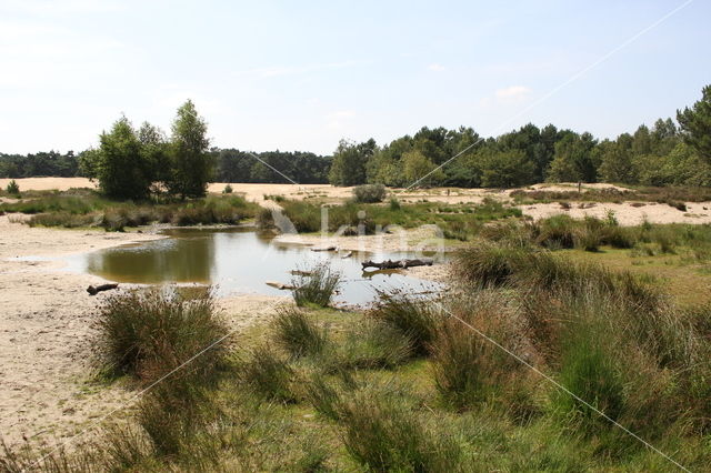 Nationaal Park Loonse en Drunense Duinen