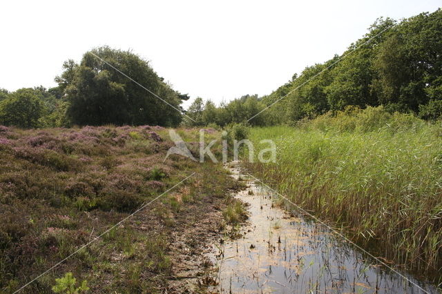 Noordhollands Duinreservaat