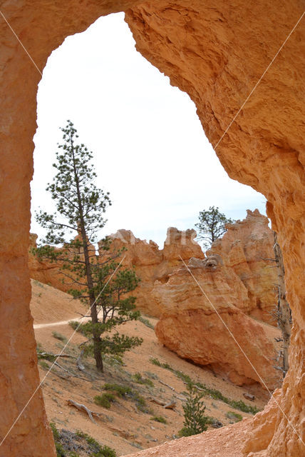 Bryce Canyon National park