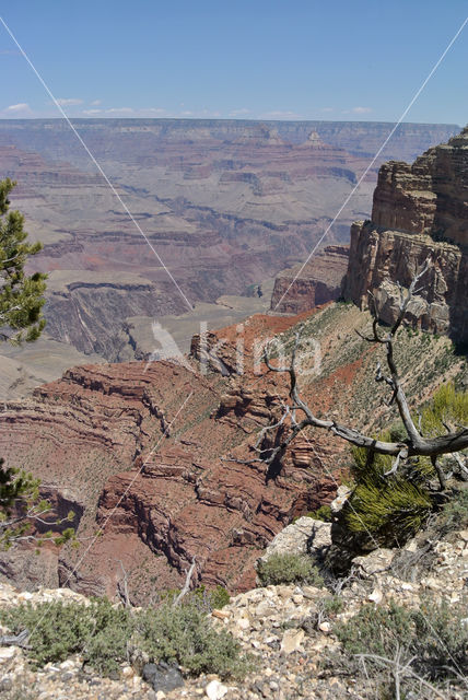 Grand Canyon National Park