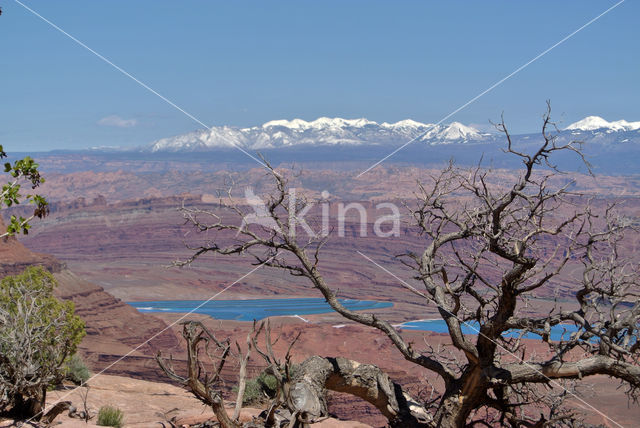 Grand Canyon National Park