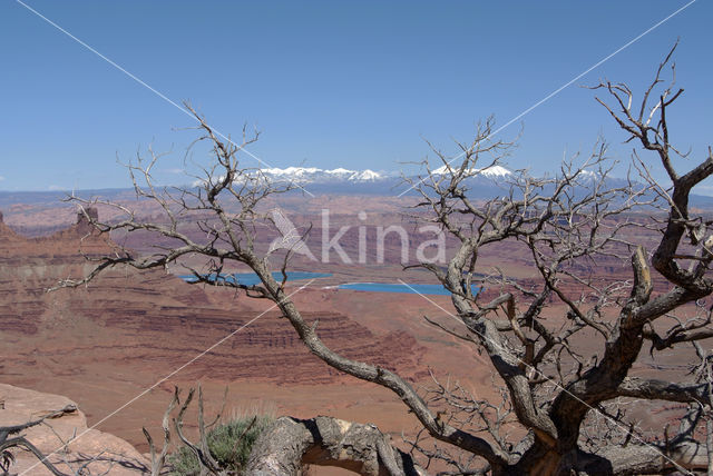 Grand Canyon National Park