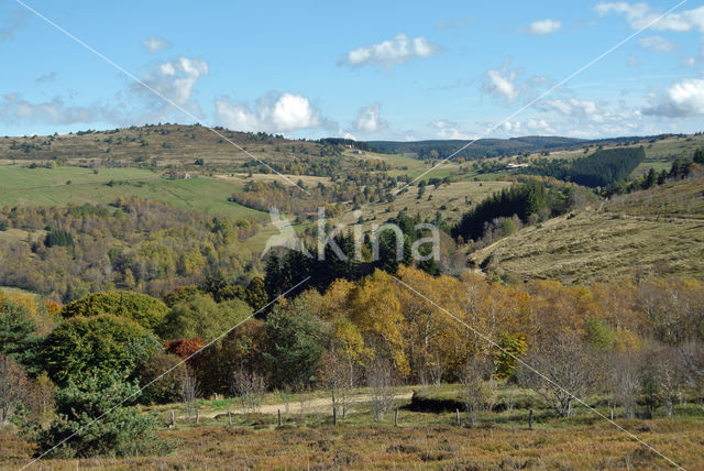 Parc naturel régional du Livradois Forez