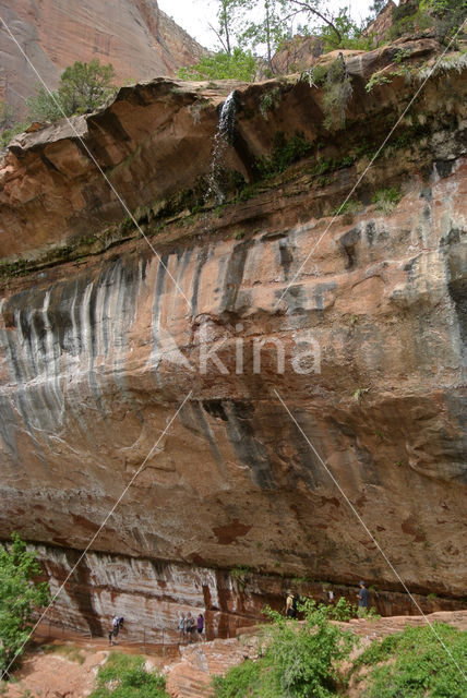 Zion National Park