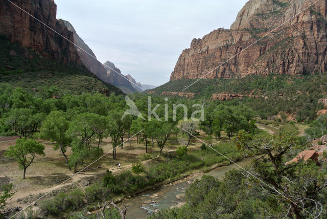 Zion National Park