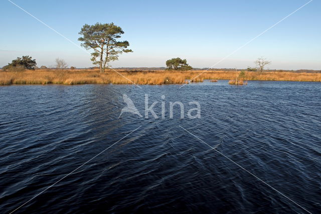 Nationaal Park Dwingelderveld