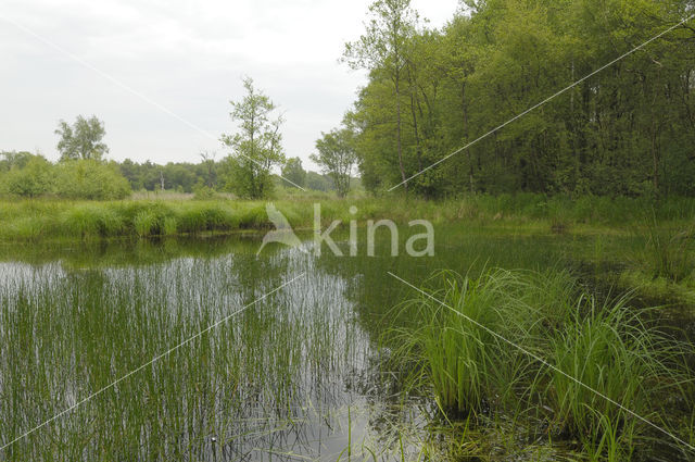 Empese en Tondense Heide