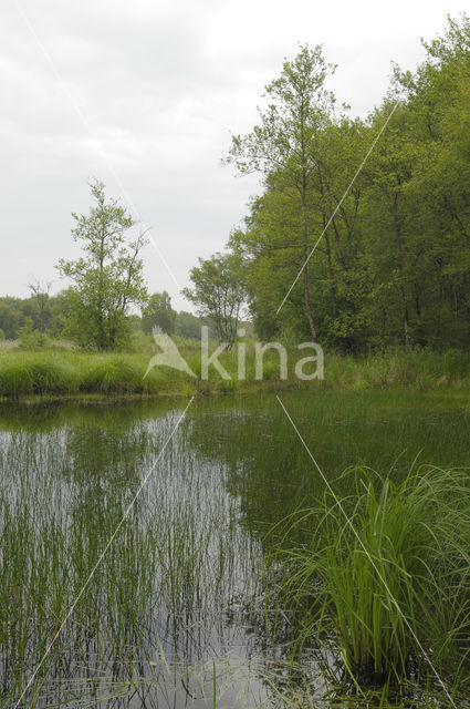 Empese en Tondense Heide