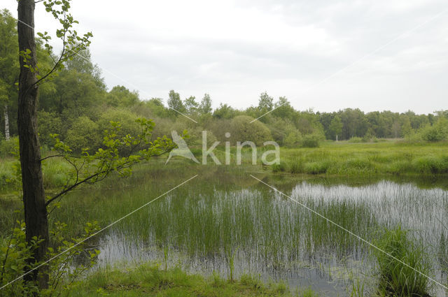 Empese en Tondense Heide