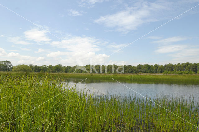 Empese en Tondense Heide