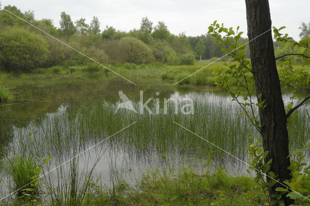 Empese en Tondense Heide