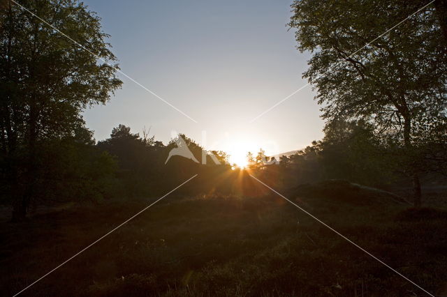 Nationaal Park Dwingelderveld