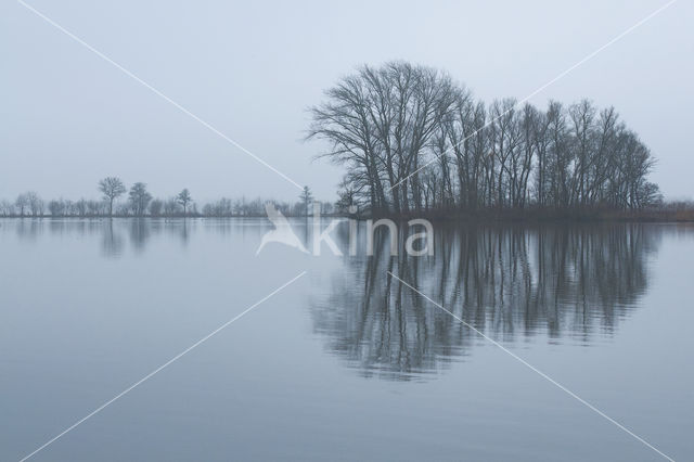 Nieuwkoopse Plassen