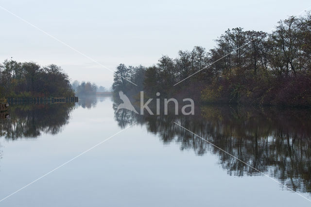 Nieuwkoopse Plassen