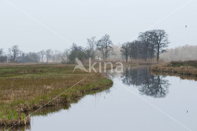 Nieuwkoopse Plassen