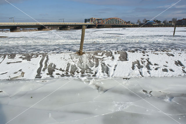 IJssel uiterwaarden