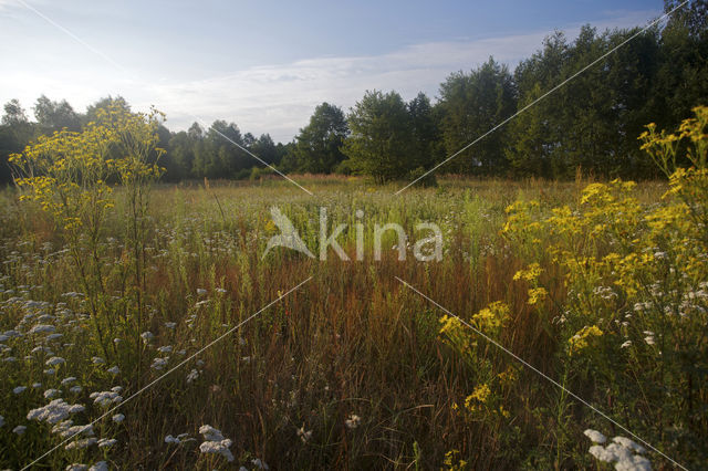 Biebrza National Park