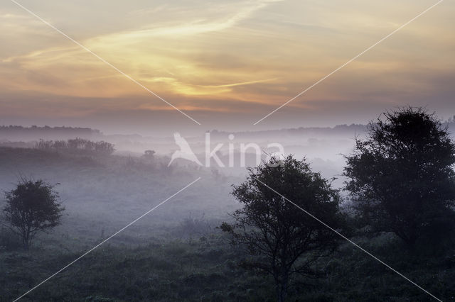 Noordhollands Duinreservaat