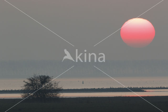 Polder Beningerwaard