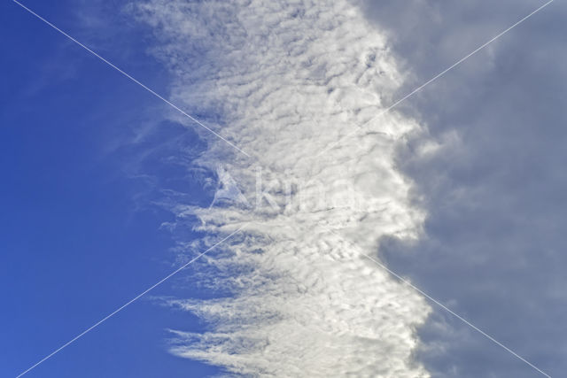 altocumulus