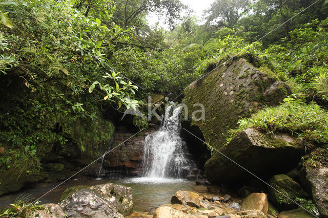 Cordillera Escalera